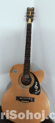 Guitar sell hobay